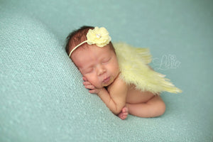 Yellow Wings Angel Baby Wing and Flower Headband Set