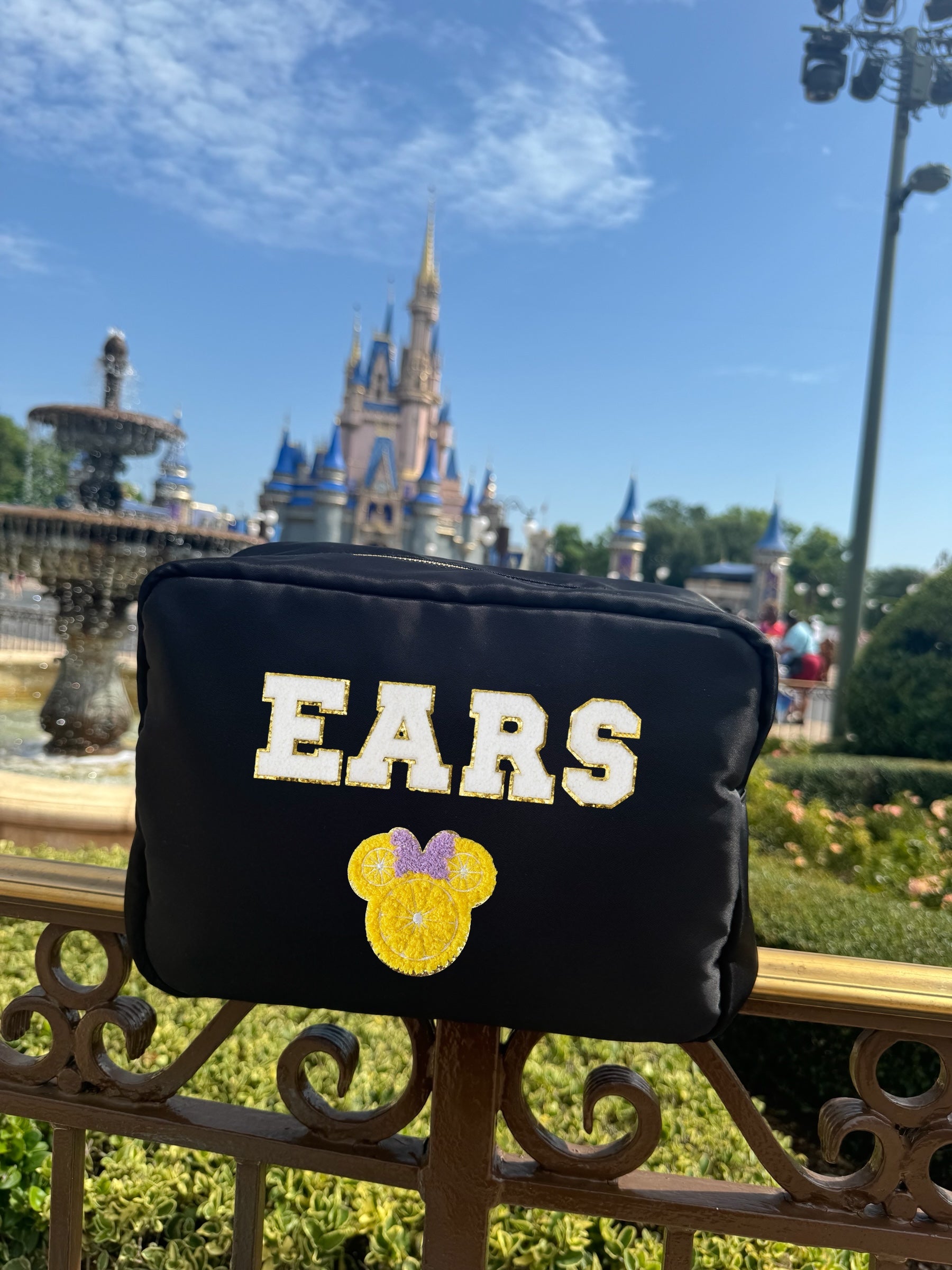 Bag for Disney ears