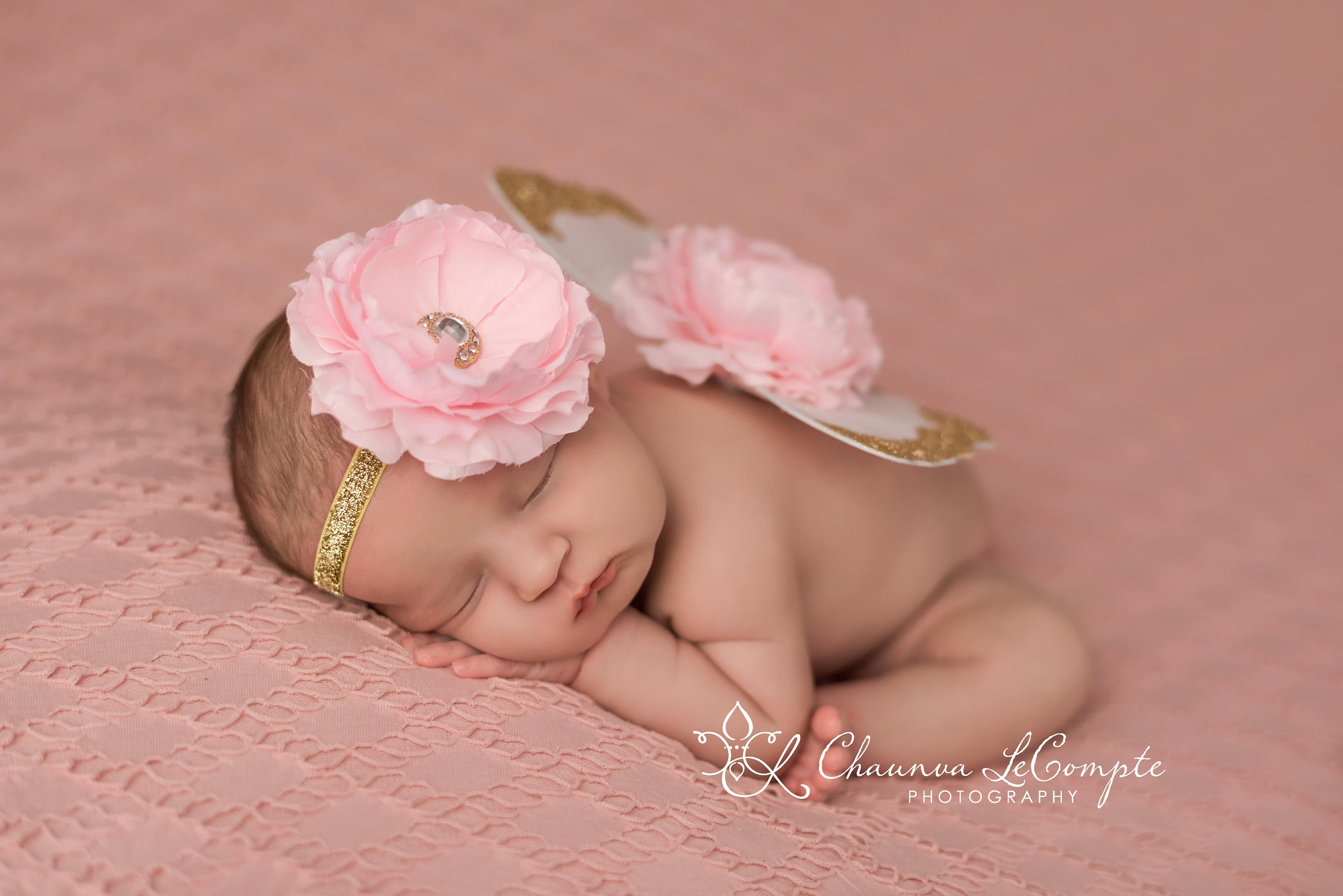 Gold and Baby Pink Butterfly Wing Set