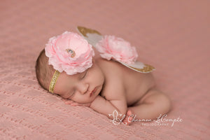 Gold and Baby Pink Butterfly Wing Set