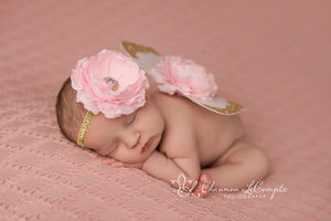 Gold and Baby Pink Butterfly Wing Set / Newborn Wings / Newborn Wing Prop / Baby Wing Prop / Newborn Photo Prop / Newborn Fairy Wings