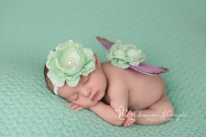 Mint and Lavender Butterfly Wing Set
