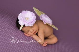 Lavender and Yellow Butterfly Wing Set