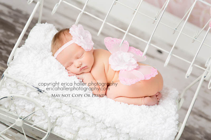 Baby Pink Butterfly Wing Set