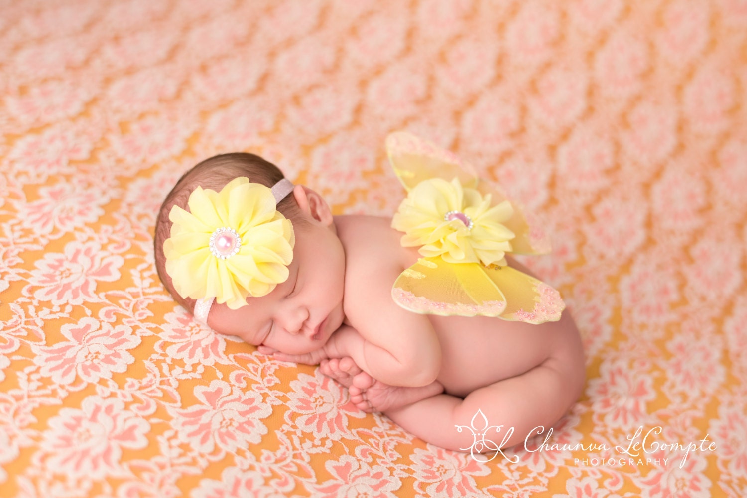 Pink and Yellow Butterfly Wing Set / Newborn Wings / Newborn Wing