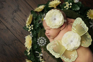 Yellow Butterfly Wing and Headband Set