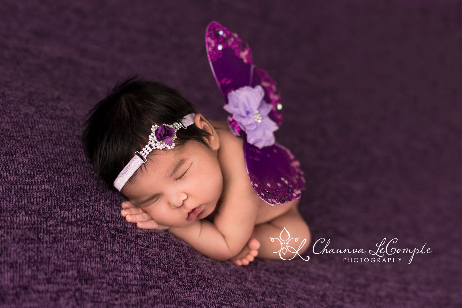 Purple and Lavender Butterfly Wing Set