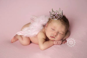 Baby Pink Angel Wing and Crown Set