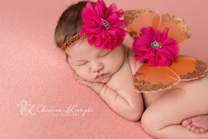Pink and Orange Butterfly Wing Set  / Newborn Wings / Newborn Wing Prop / Baby Girl Headband / Newborn Photo Prop / Newborn Butterfly Wings