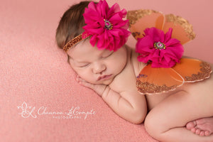 Hot Pink and Orange Butterfly Wing Set