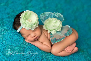 Mint and Turquoise Butterfly Wing Set