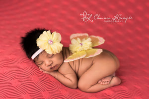 Pink and Yellow Butterfly Wing Set