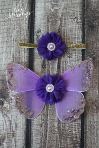 Lavender and Purple Butterfly Wing Set