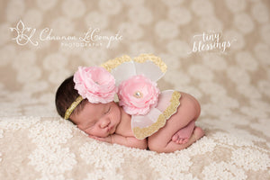 Baby Wing and Headband Set,  Gold and Baby Pink Wing Set, Newborn Wing Prop, Newborn Wings, Baby Wing Prop, Wing Photo Prop, Photo Prop