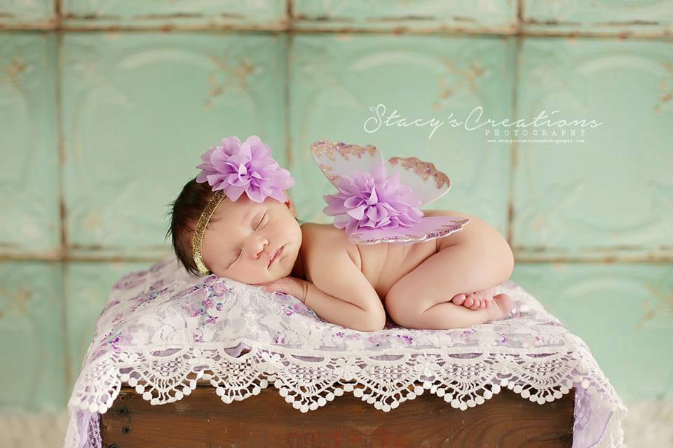 Lavender and Gold Butterfly Wing Set