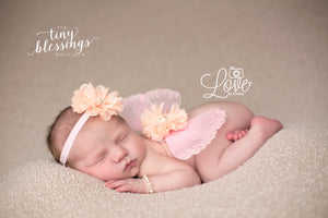 Pink and Peach Butterfly Wing Set  / Newborn Wings / Newborn Wing Prop / Baby Girl Headband / Newborn Photo Prop / Newborn Butterfly Wings