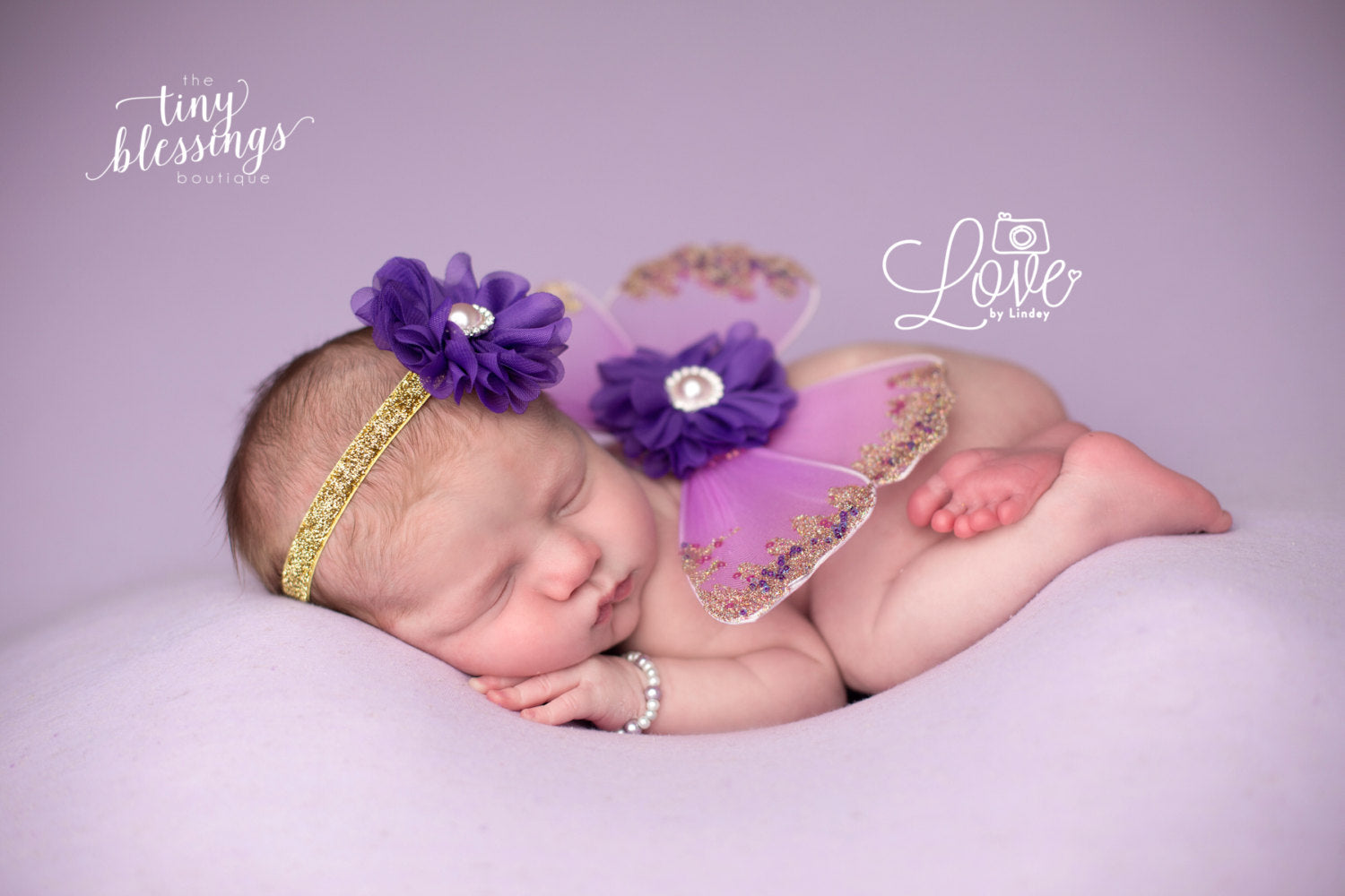 Lavender and Purple Butterfly Wing Set
