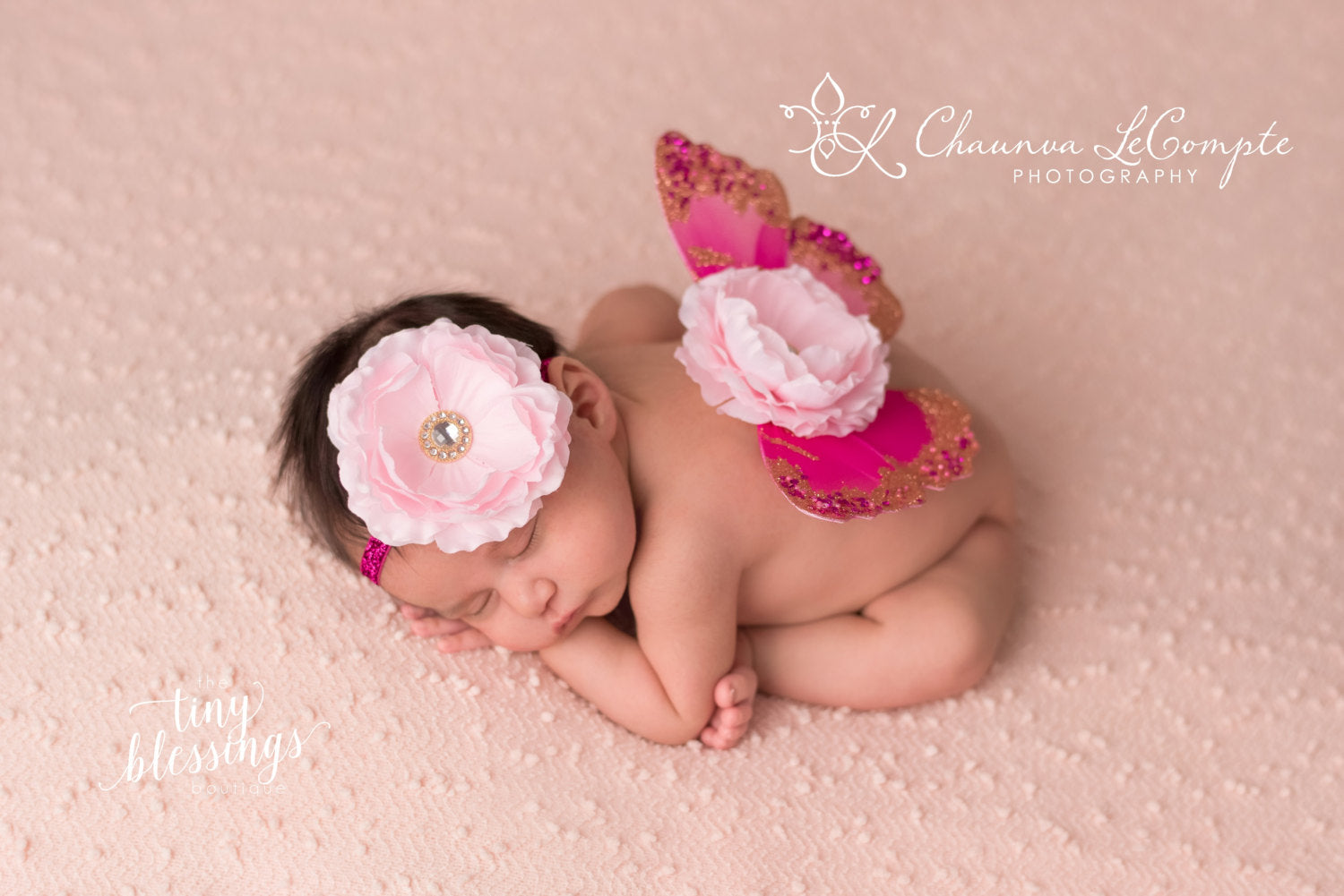 Hot Pink and Baby Pink Butterfly Wing Set