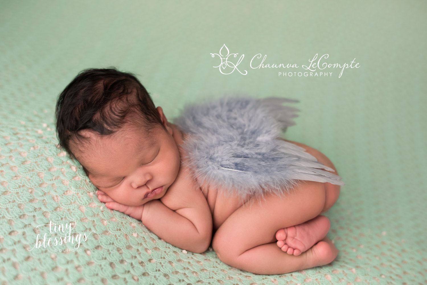 Gray Wings Angel Baby Wing