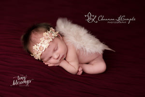 Blush Baby Wing Set / Baby Angel Wing Set / Beaded Lace Headband / Angel Wings / Newborn Photo Prop / Newborn Wing / Newborn Angel Costume