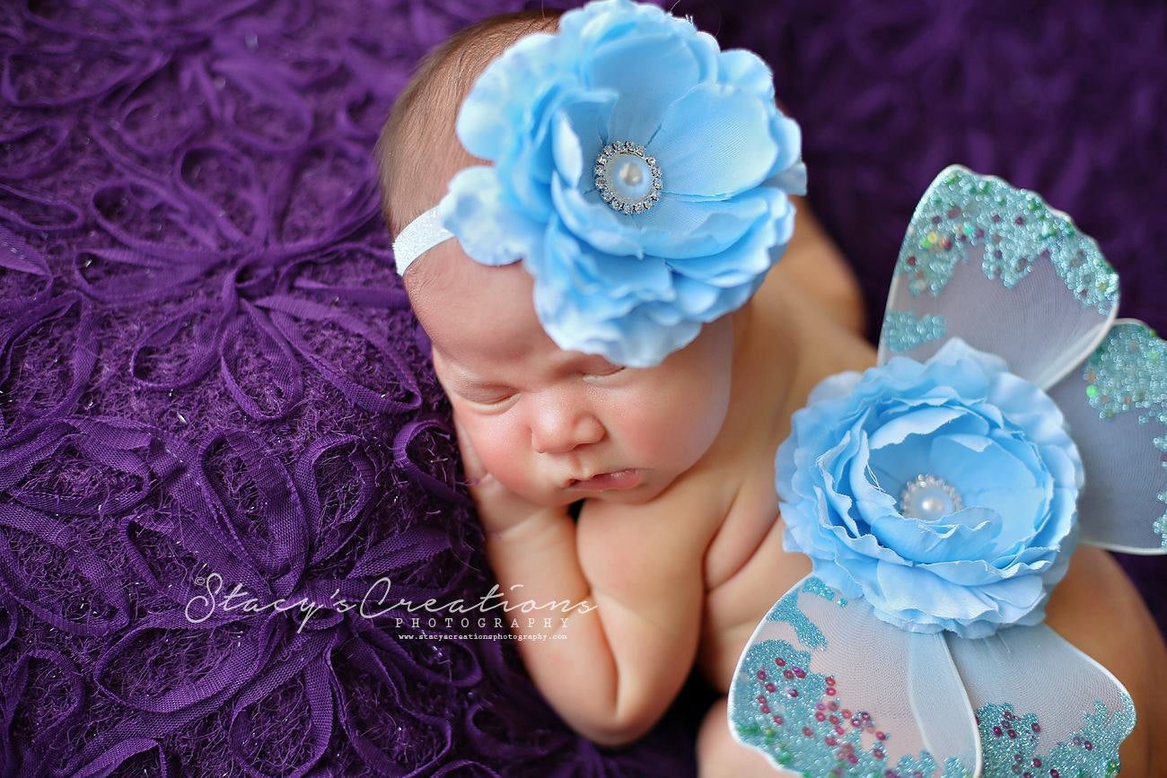 Baby Blue Butterfly Wings and Headband Set