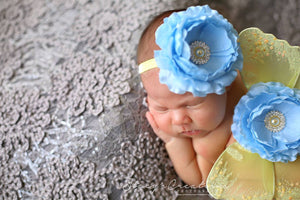 Baby Blue and Yellow Butterfly Wing Set