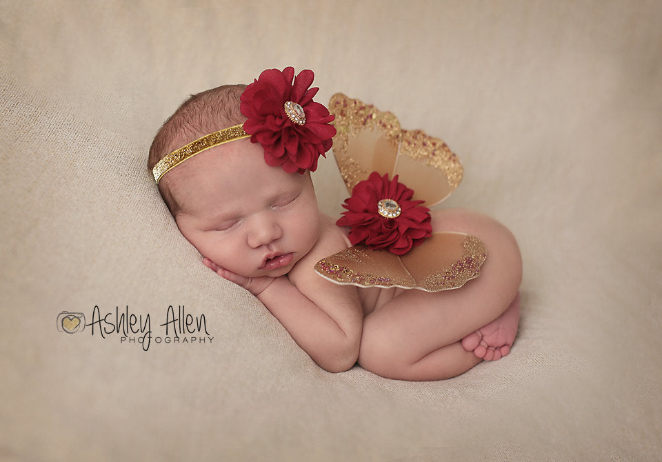 Brown and Red Butterfly Wing and Headband