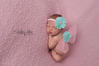 Pink and Aqua Butterfly Wing Set