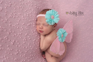 Pink and Aqua Butterfly Wing Set