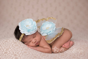 Cinderella Blue and Gold Butterfly Wing Set