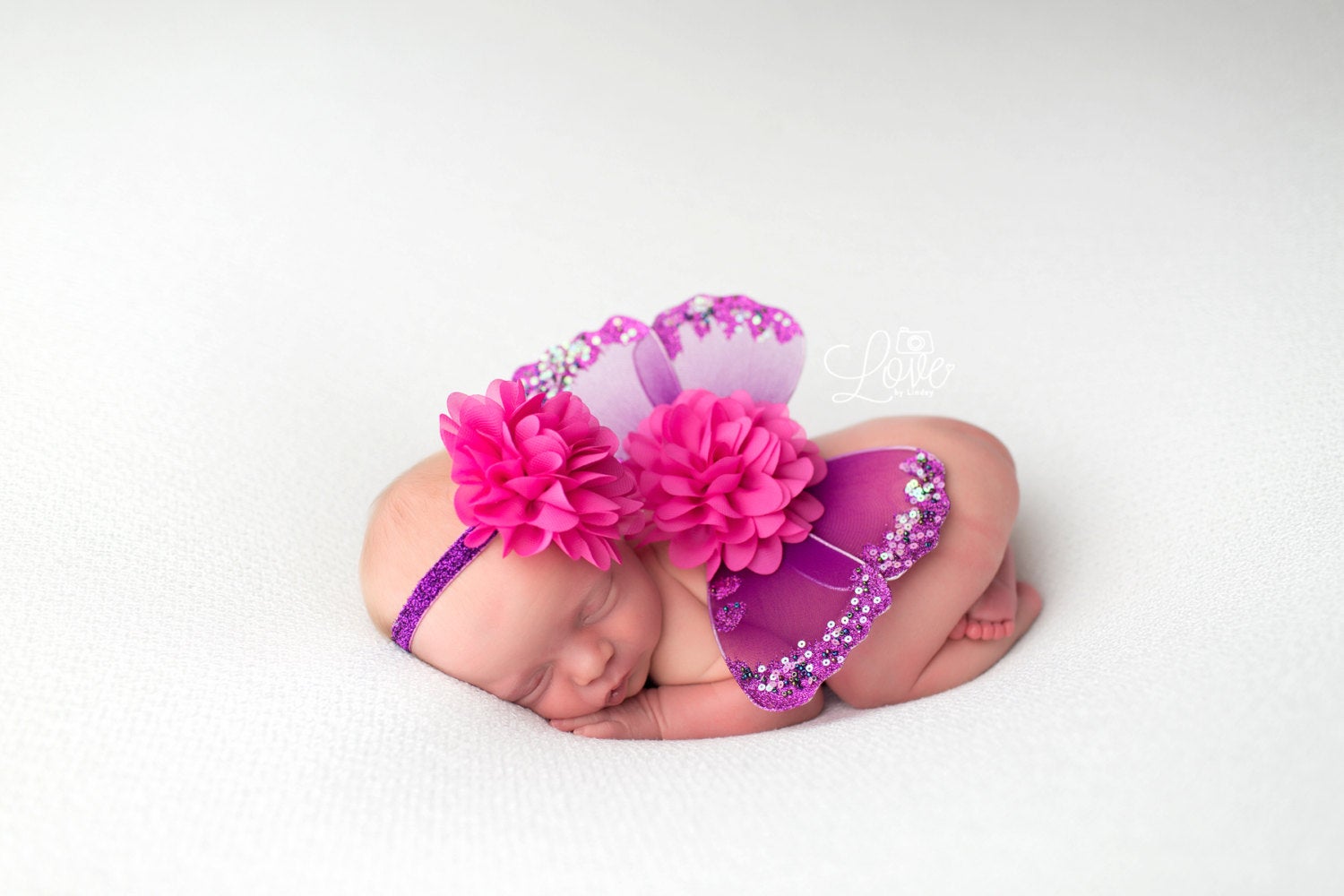 Purple and Hot Pink Butterfly Wing Set