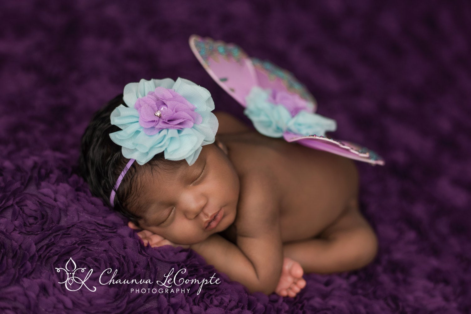Lavender and Aqua Butterfly Wing Set